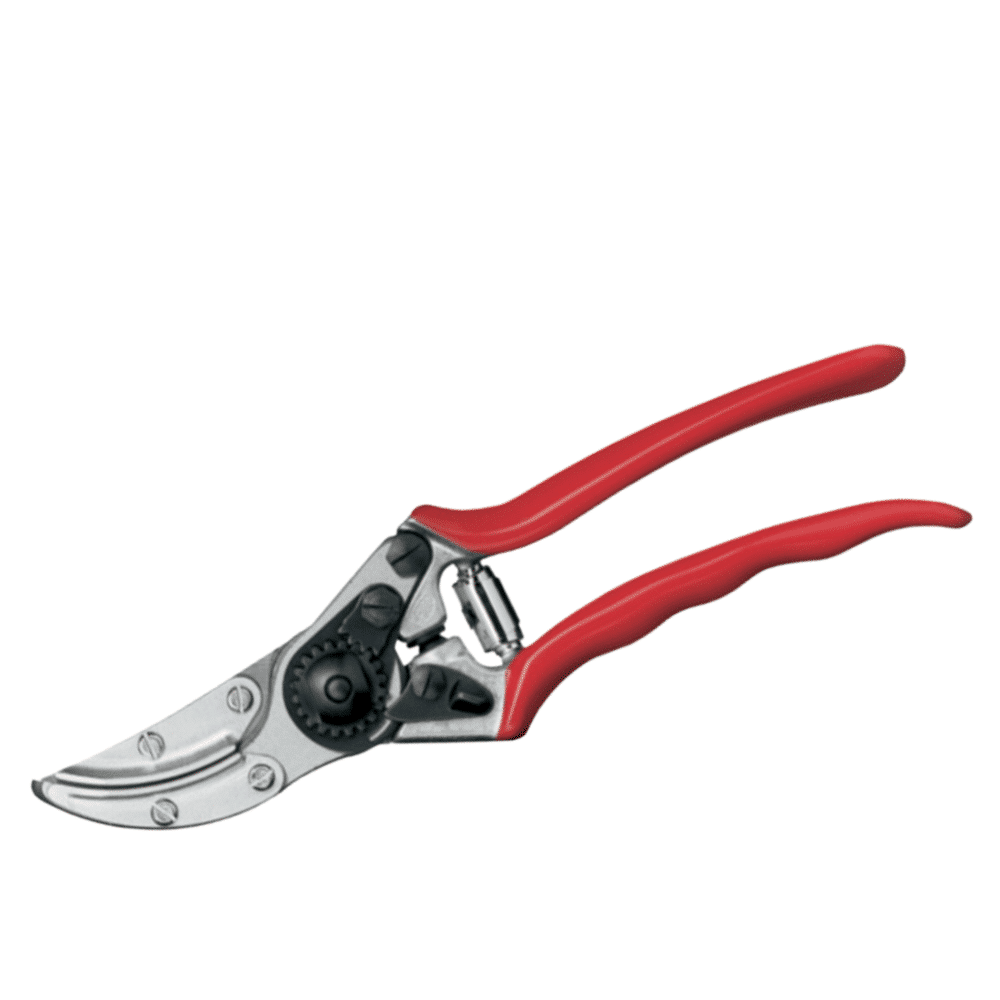 felco-100-ΨΑΛΙΔΙ-ΓΙΑ-ΣΥΓΚΡΑΤΗΣΗ-ΦΡΟΥΤΩΝ-ΚΑΙ-ΛΟΥΛΟΥΔΙΩΝ